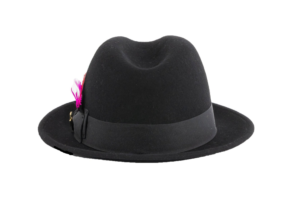 Ferrecci Brooks Soft 100% Australian Wool Felt Body With Removable Feather Black Hat Great For Travel