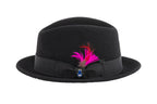 Ferrecci Brooks Soft 100% Australian Wool Felt Body With Removable Feather Black Hat Great For Travel.