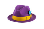 Ferrecci Brooks Soft 100% Australian Wool Felt Body with Removable Feather purple hat Great for Travel