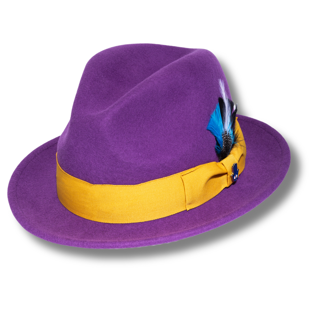 Ferrecci Brooks Soft 100% Australian Wool Felt Body with Removable Feather purple hat Great for Travel