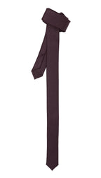 Super Skinny Egg Plant Shiny Slim Tie